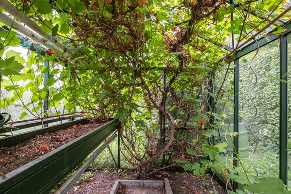 Medium property photo - Voorstraat 47, 4153 AH Beesd
